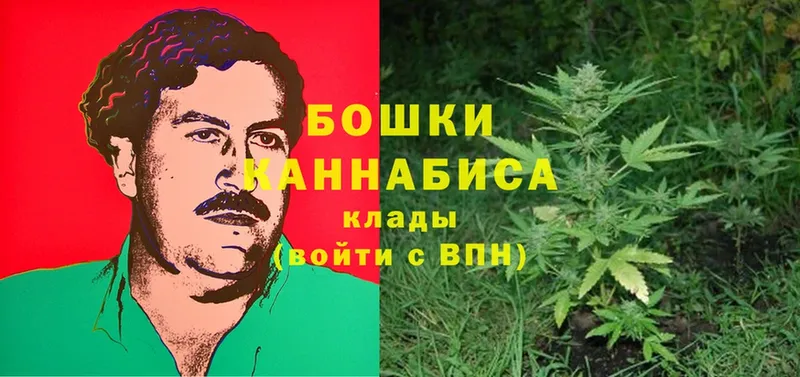 Марихуана THC 21%  сколько стоит  Отрадная 